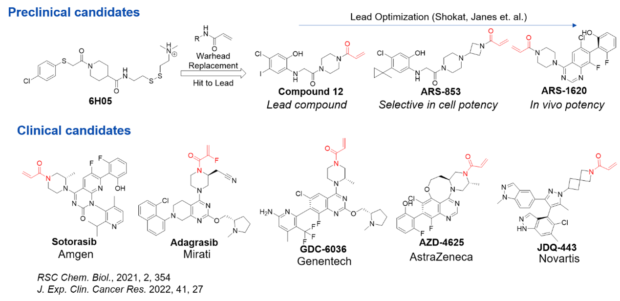 Chemistry Insights | How to Enhance Success Rate in the Discovery of ...